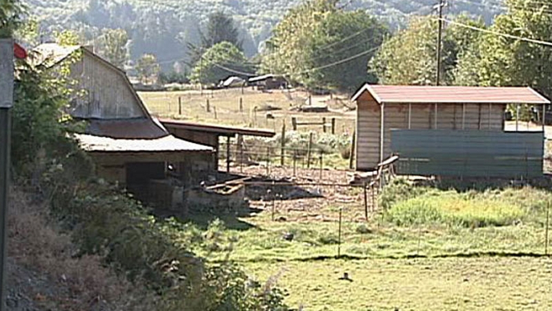 Terry Garner's farm in Oregon (Pic courtesy of KCBY)