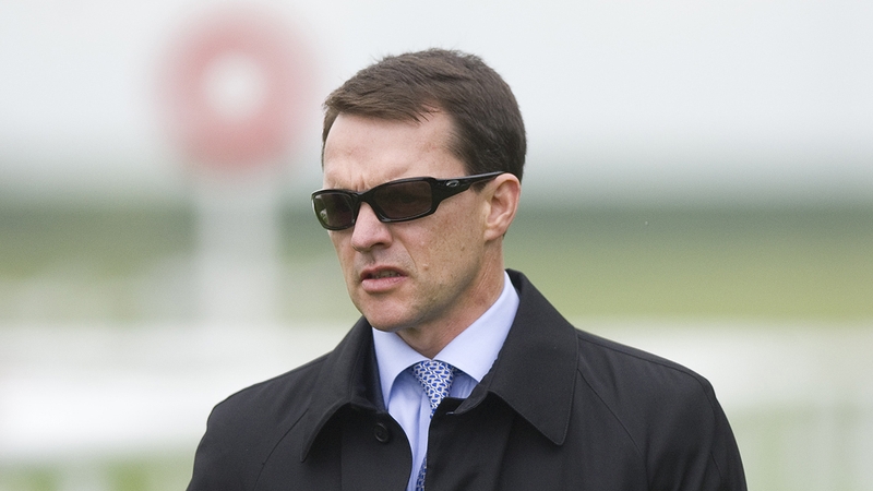 Aidan O'Brien is represented by Plinth in the Ladbrokes St Leger