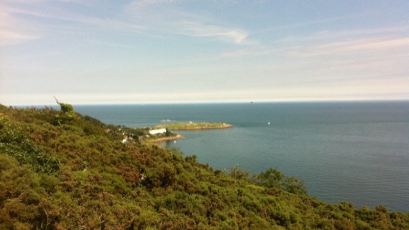 Providence Resources surrenders Dalkey Island licence