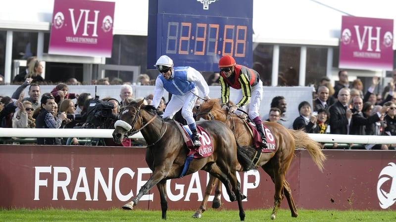 Solemia was a shock winner of last year's race