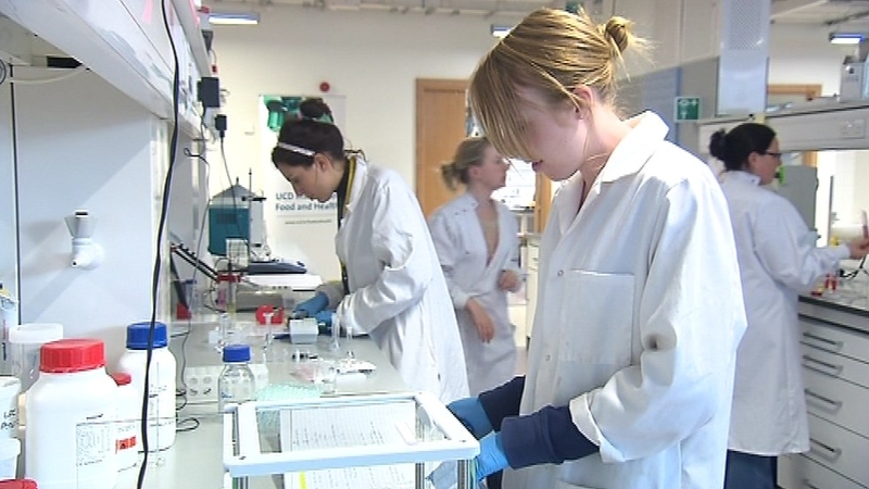 Up to 800 jobs will be in place within three years