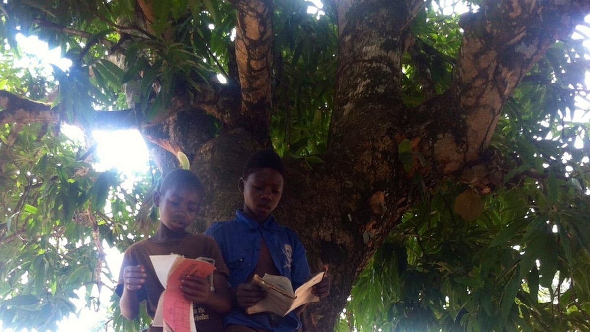 One World: Under the Mango Tree