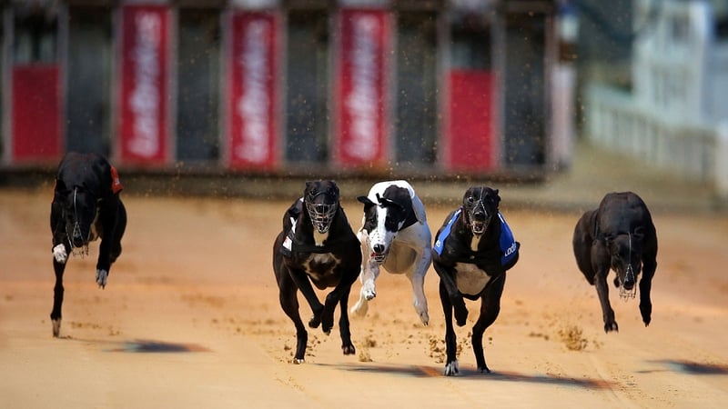 Con & Annie Kirby memorial stake is at 9.45pm on Saturday