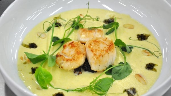 Panfried Scallops and Cauliflower Velouté