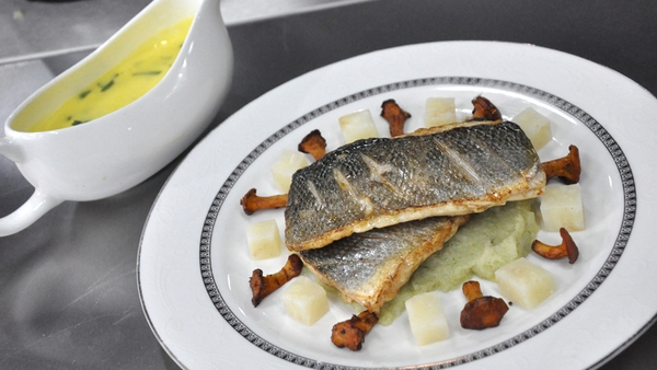 Pan-fried sea bass with fennel puree, chanterelles