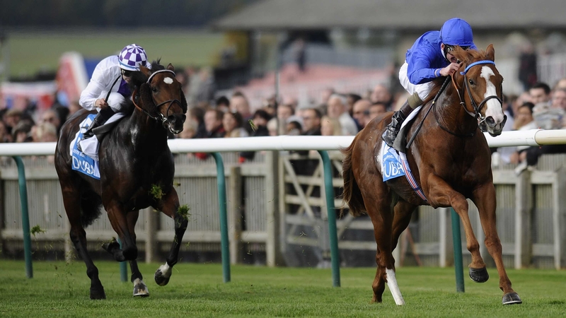 Dawn Approach is unbeaten in six races so far