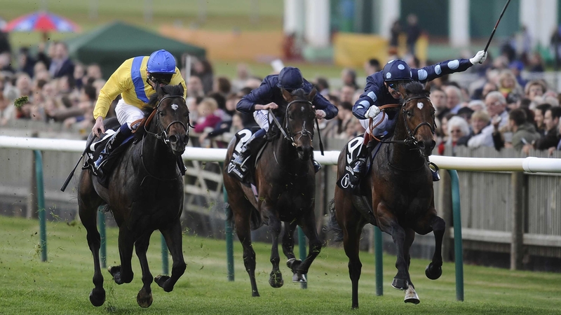 Moohaajim was last seen chasing home Reckless Abandon in the Middle Park at Newmarket