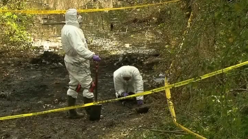 Forensic experts searched the disused quarry after the vet's burnt out car was found nearby