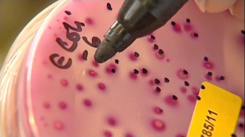 Tests showed the couple suffered illnesses caused by E.coli while on holiday in Egypt