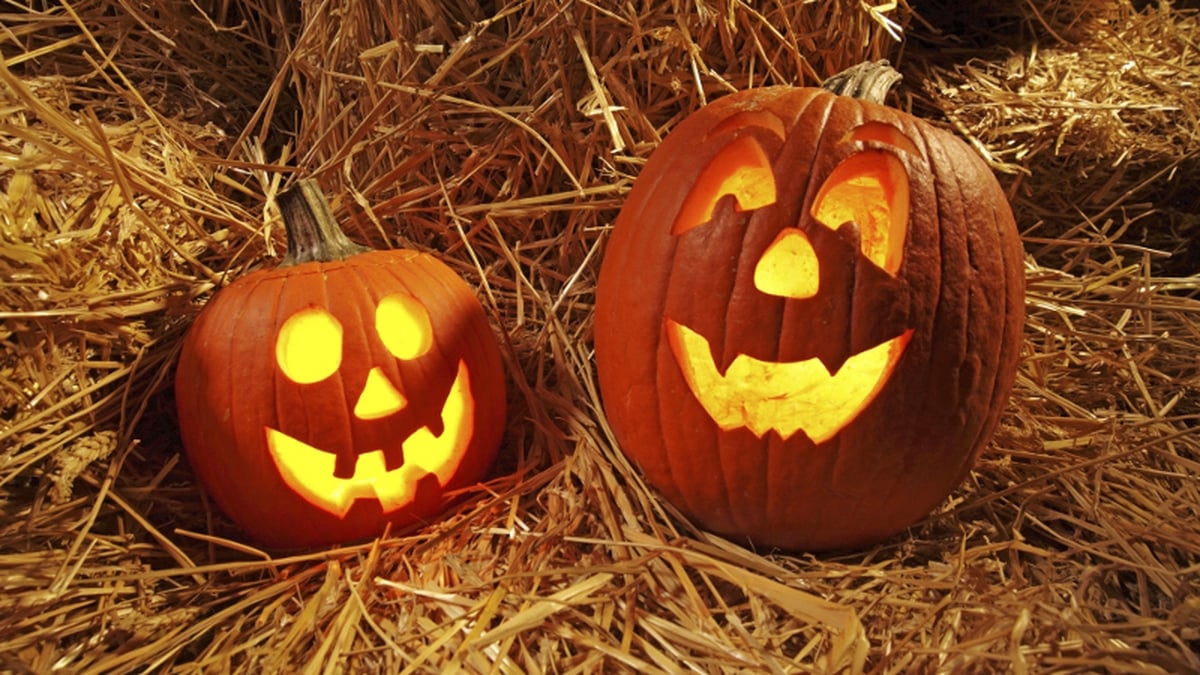 Pumpkin Patches: The farmers and the families getting big into Halloween