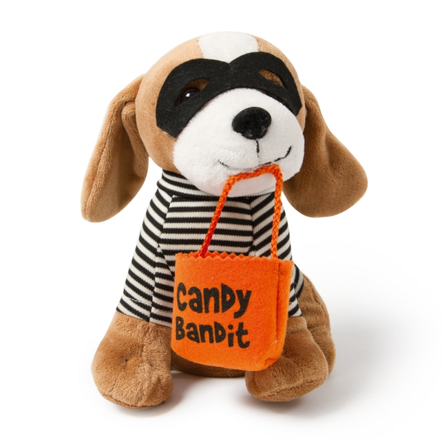 Singing jail dog, Dunnes Stores, €15