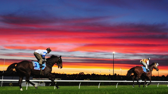 Jockey Corey Brown riding Rangirandoo and Hugh Bowman riding Shoot Out at Moonee Valley Racecourse