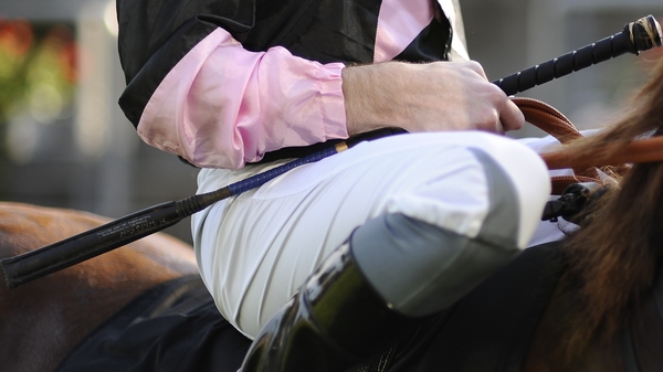 Whip rules vary in each jurisdiction