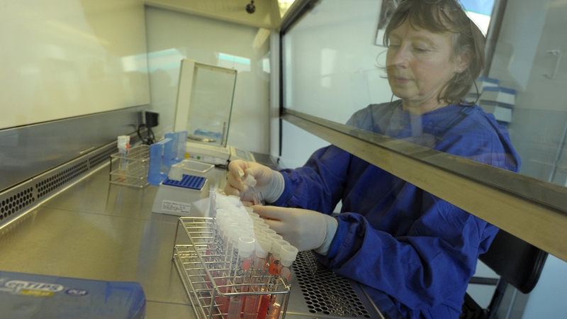 Schmallenberg Virus was first detected in Germany in late 2011