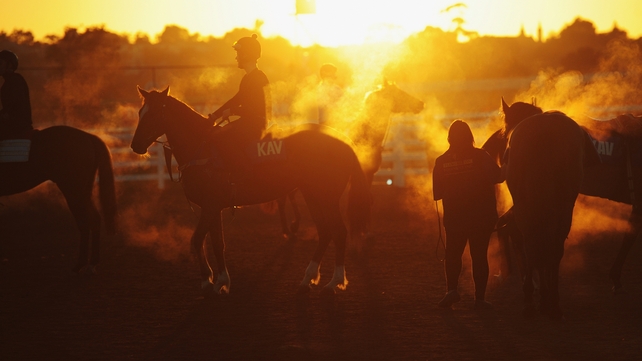 Horses all steamed up return after trackwork at Flemington Racecourse in Melbourne