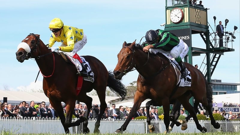 Dunaden on the way to Caulfield Cup victory last month