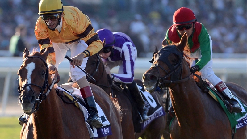John Velazquez rides Wise Dan to victory ahead of Animal Kingdom and Joseph O'Brien on Excelebration