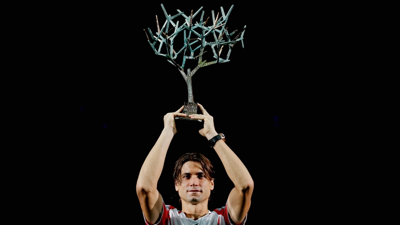 David Ferrer ended Jerzy Janowicz' giant-killing streak