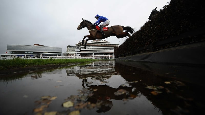 Cue Card will look to land the main event at Cheltenham in March
