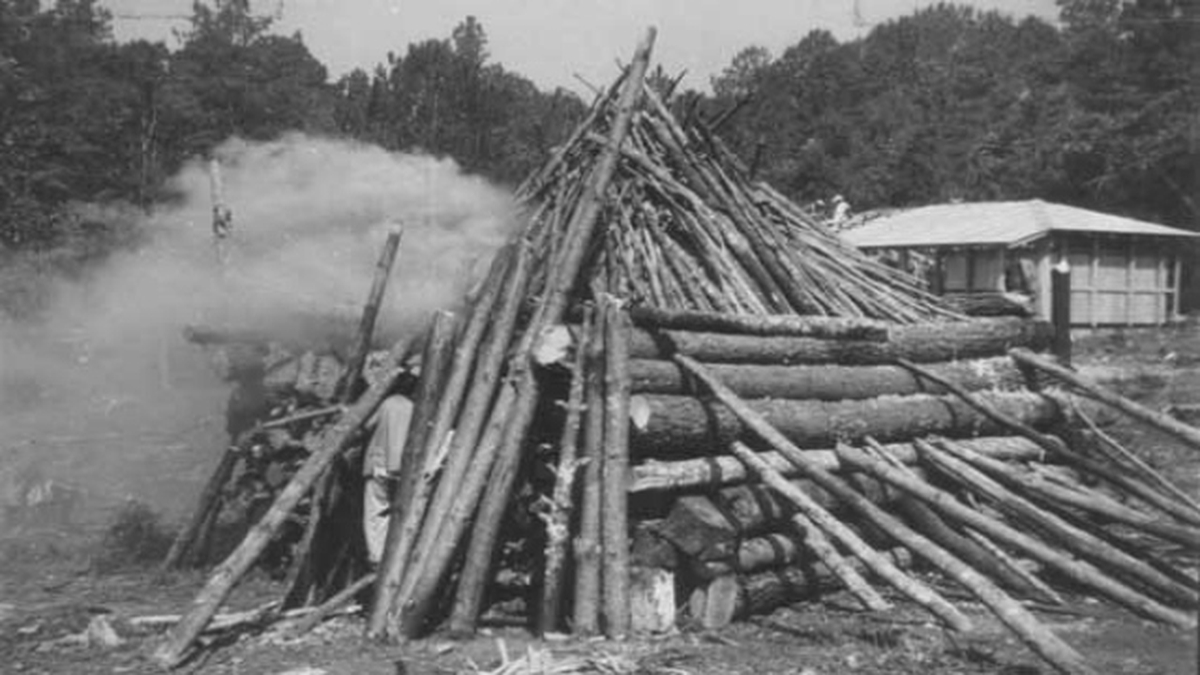 Burning the Bones of the Earth