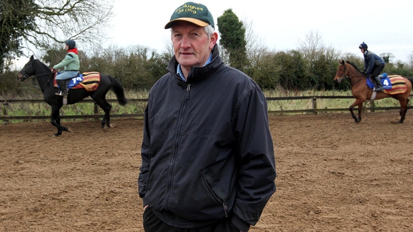 Dessie Hughes will run Lieutenant Colonel at Punchestown