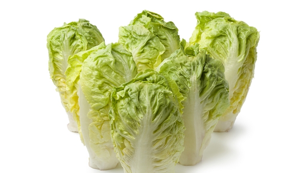 Green Salad