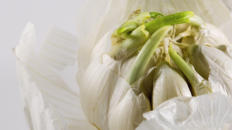 Neven Maguire's Garlic Confit