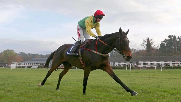 Sizing Europe