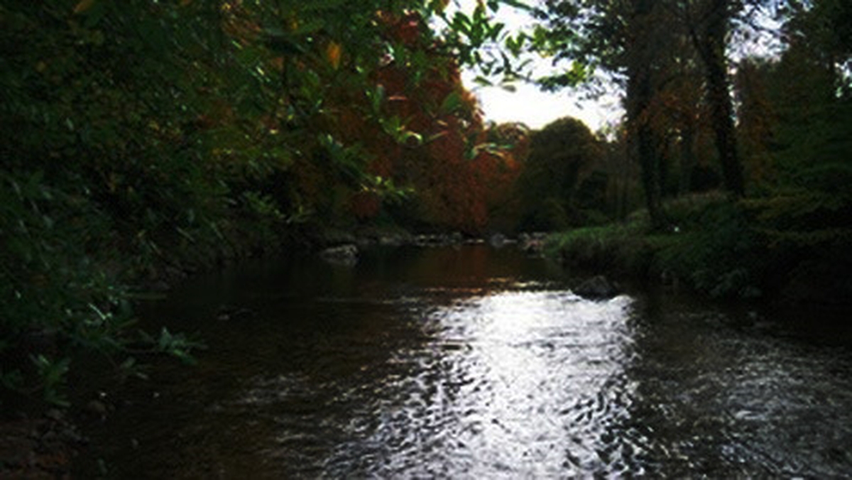 Hidden River