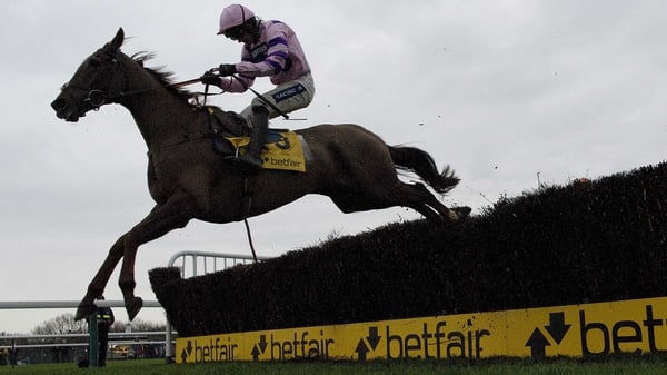 Silviniaco Conti can be backed at even money for the Betfred Bowl