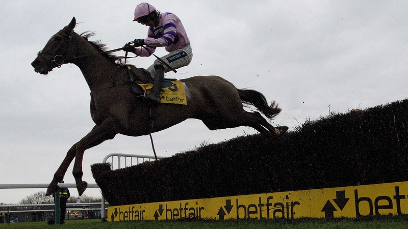 Silviniaco Conti is a best-price 8-1 for the Gold Cup