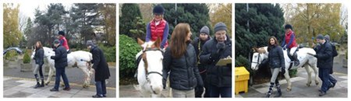 Mary O'Hagan's new skill - horseriding