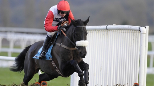Big Buck's landed odds of 1-12 in the Long Distance Hurdle at Newbury