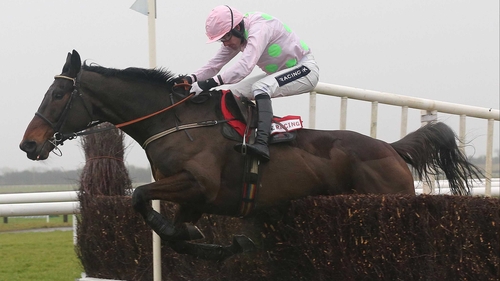 Getting in too close to the last was the only minor blip on an otherwise superb round of jumping by Arvika Ligeonniere