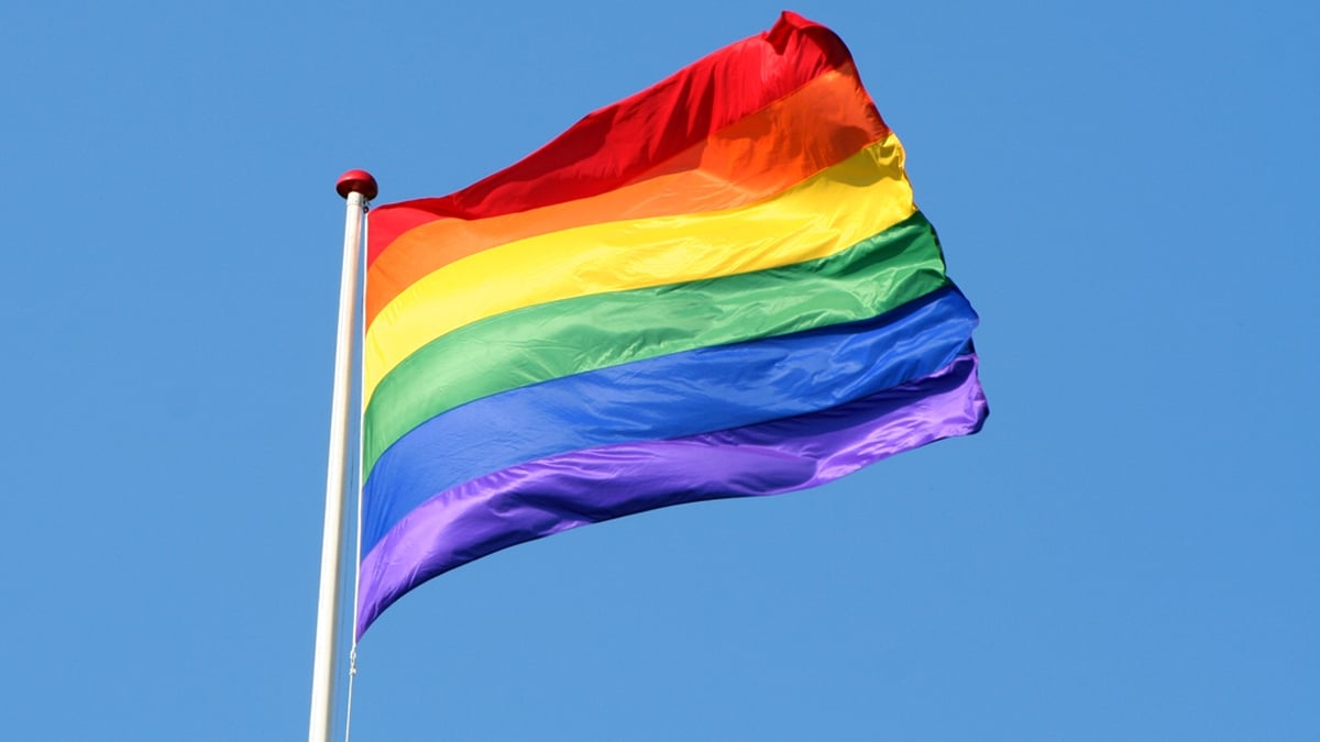 Child of "Drag" Apology & Mayo Pride