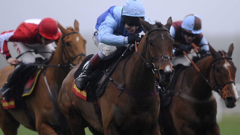 Fingal Bay had been prominent in the antepost market for the RSA Chase at the Cheltenham Festival
