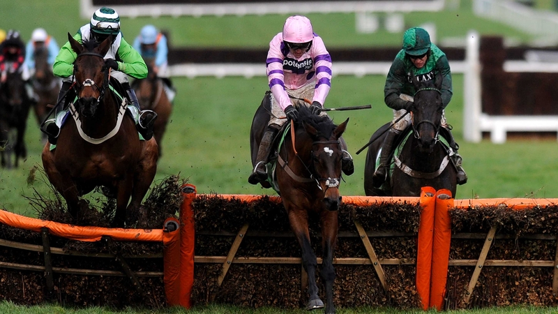 Zarkandar stands for the Ladbrokes World Hurdle