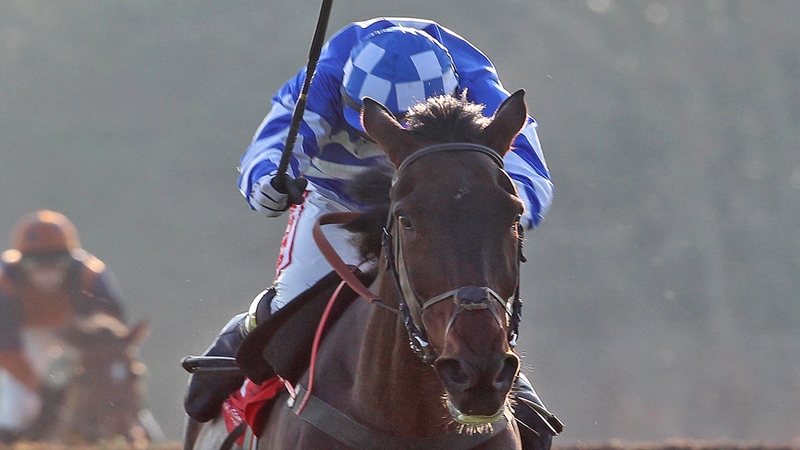 Days Hotel is the big hope for the Paddy Power Your Local Betting Shop Chase