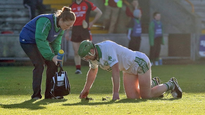 Shefflin will not play hurling again until March next year