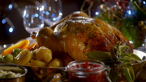 Kevin's Christmas Turkey