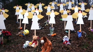 DECEMBER: One of the worst mass shootings in US history at Sandy Hook Elementary School in Connecticut sparked debate on gun control in America