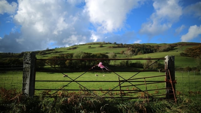 OCTOBER: The pink ribbon was used as a sign of hope by those who searched for missing five-year-old April Jones in Wales