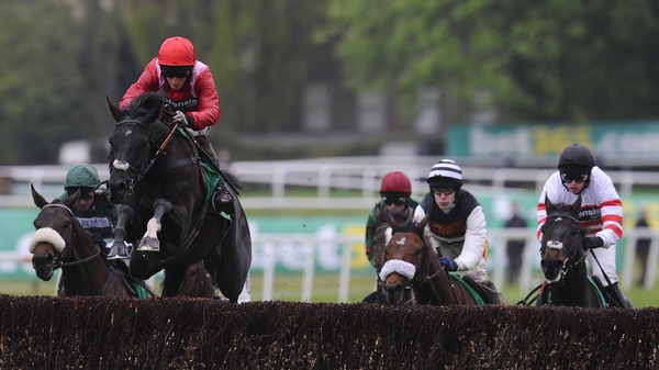 Sanctuaire and Daryl Jacob led the field for most of the way in the Tingle Creek