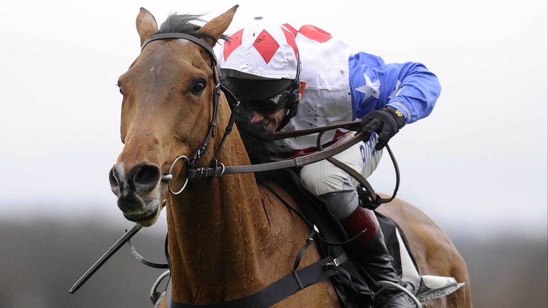 Reve De Sivola may be making the trip to Punchestown