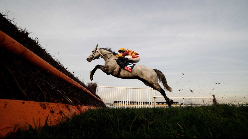 Dynaste is a best-price 9-4 for the RSA Chase and is available to back at 5-1 for the Jewson Novices' Chase