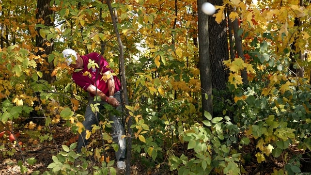 Paul Lawrie plays a shot from the trees during day two