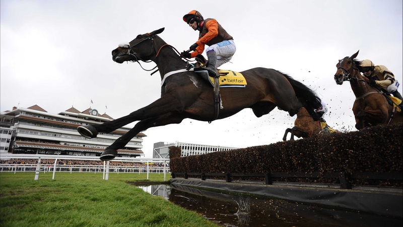 Long Run won last season’s Denman Chase, before finishing third in the Gold Cup