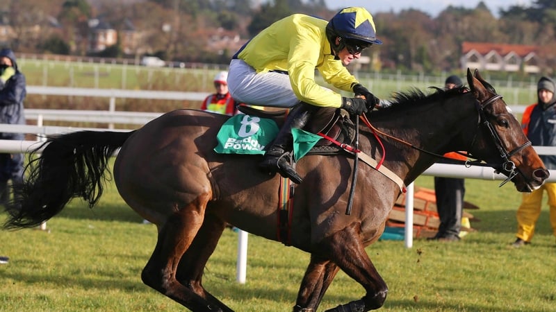 Sizing Europe won the Paddy Power Dial-A-Bet Chase by two and a half lengths