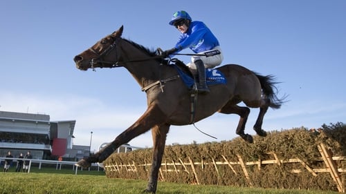 Hurricane Fly is a best-price 9-4 for the Champion Hurdle