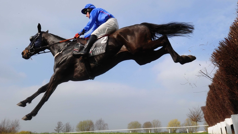 Paddy Flood on Rare Bob in action at Cheltenham last March